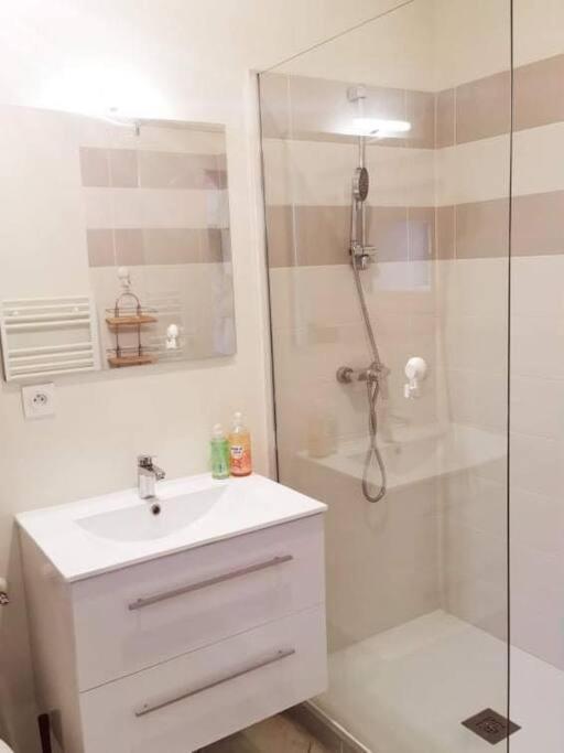 Apartmán Chez Beroy Morlaas Exteriér fotografie